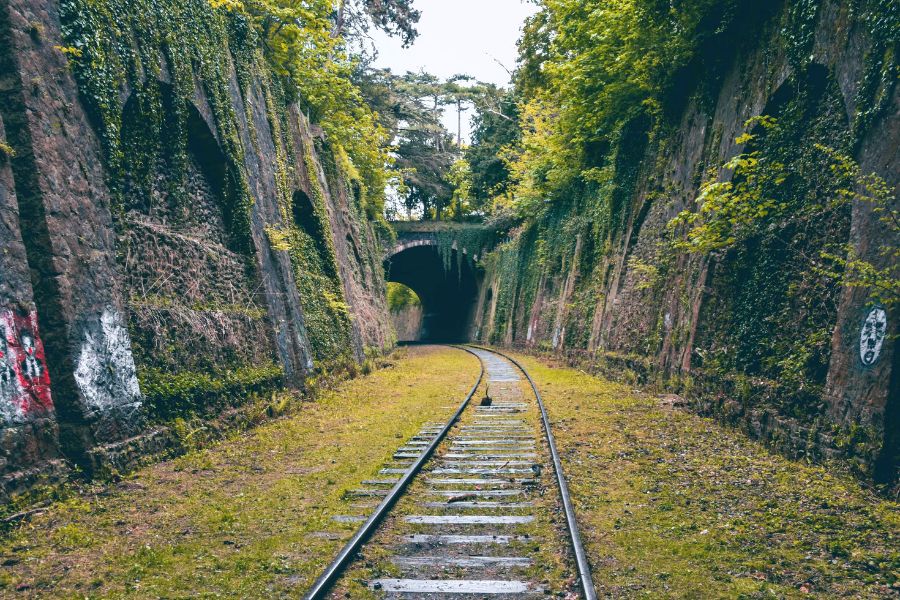 ทางรถไฟเก่า Petite Ceinture ( La Petite Ceinture )