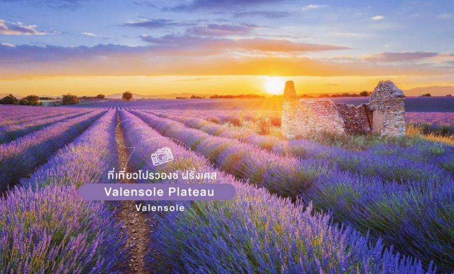 Valensole Plateau Valensole